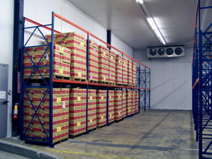 Large-scale food production storage coolers & freezers
